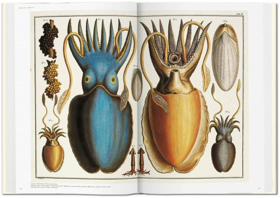 Albertus Seba's Cabinet of Natural Curiosities: Discover One of the Most Prized Natural History Books of All Time (1734-1765)